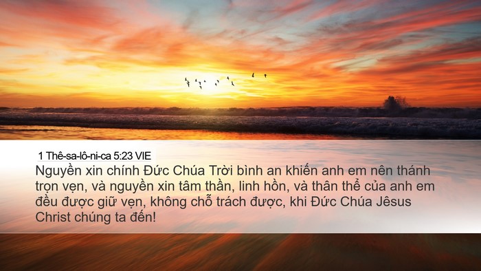 1 Thê-sa-lô-ni-ca 5:23 VIE Bible Verse Image