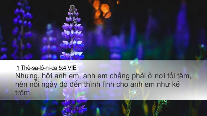 1 Thê-sa-lô-ni-ca 5:4 VIE Bible Verse Image
