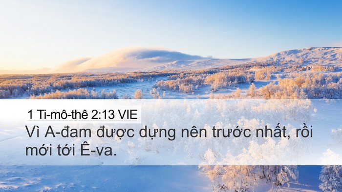 1 Ti-mô-thê 2:13 VIE Desktop Wallpaper - Vì A-đam được dựng nên trước nhất, - Desktop Bible Verse Wallpaper