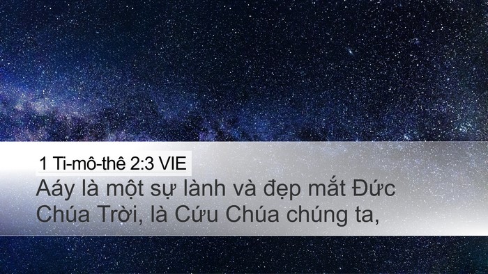 1 Ti-mô-thê 2:3 VIE Bible Verse Image