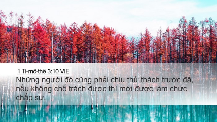 1 Ti-mô-thê 3:10 VIE Bible Verse Image