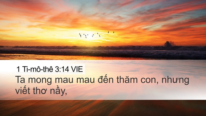 1 Ti-mô-thê 3:14 VIE Desktop Wallpaper - Ta mong mau mau đến thăm con, nhưng viết - Desktop Bible Verse Wallpaper