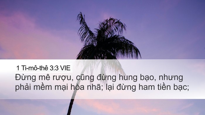 1 Ti-mô-thê 3:3 VIE Bible Verse Image