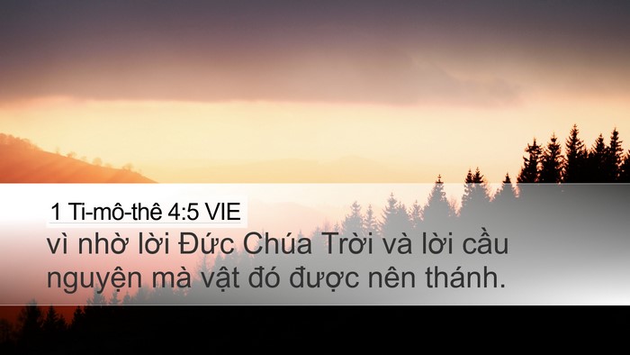 1 Ti-mô-thê 4:5 VIE Desktop Wallpaper - vì nhờ lời Đức Chúa Trời và lời - Desktop Bible Verse Wallpaper