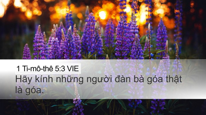 1 Ti-mô-thê 5:3 VIE Bible Verse Image
