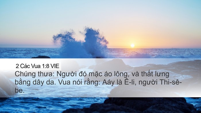 2 Các Vua 1:8 VIE Bible Verse Image
