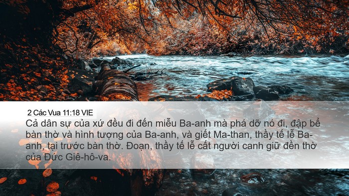 2 Các Vua 11:18 VIE Desktop Wallpaper - Cả dân sự của xứ đều đi đến - Desktop Bible Verse Wallpaper