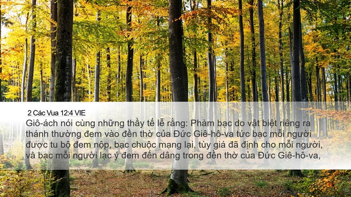 2 Các Vua 12:4 VIE Bible Verse Image