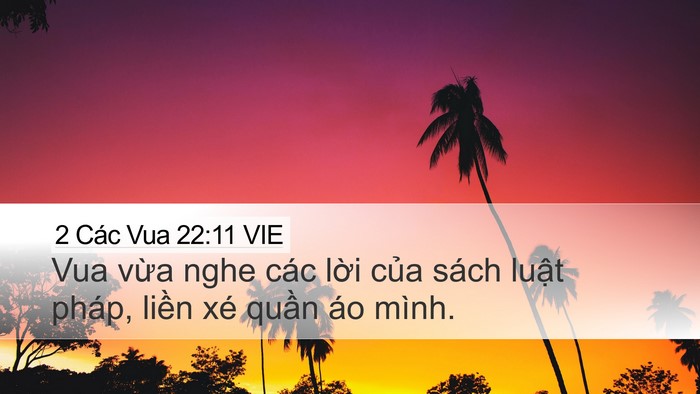 2 Các Vua 22:11 VIE Desktop Wallpaper - Vua vừa nghe các lời của sách luật - Desktop Bible Verse Wallpaper