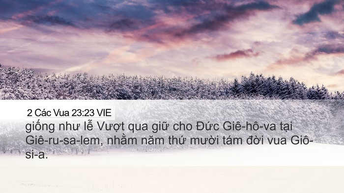 2 Các Vua 23:23 VIE Bible Verse Image