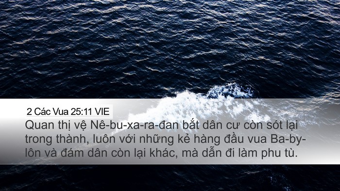 2 Các Vua 25:11 VIE Bible Verse Image
