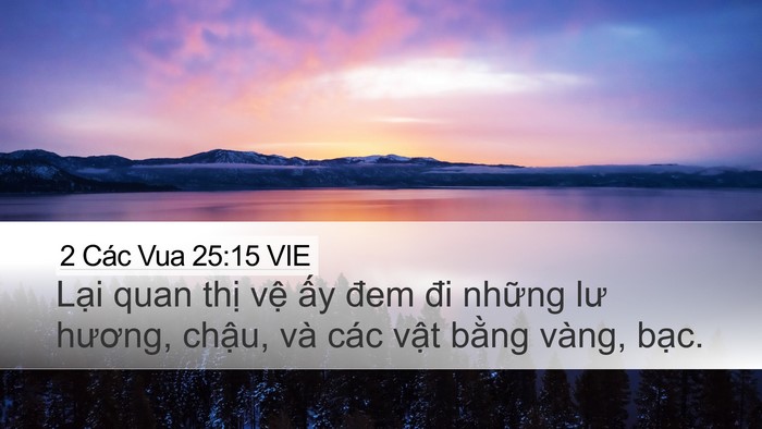 2 Các Vua 25:15 VIE Bible Verse Image