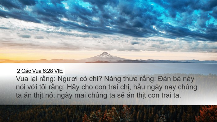 2 Các Vua 6:28 VIE Bible Verse Image