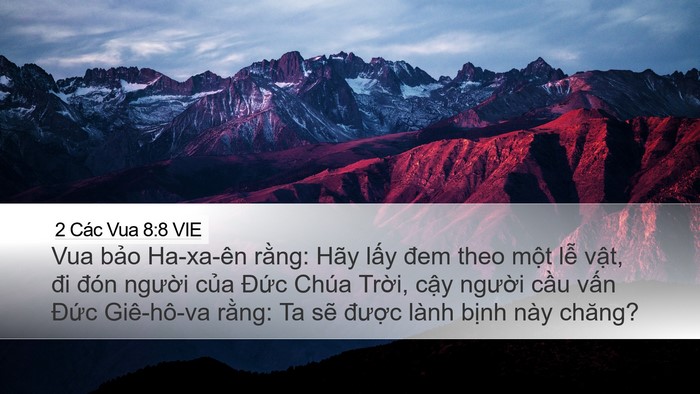 2 Các Vua 8:8 VIE Bible Verse Image