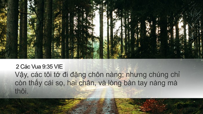 2 Các Vua 9:35 VIE Bible Verse Image