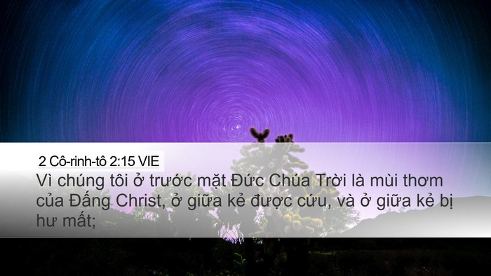2 Cô-rinh-tô 2:15 VIE Bible Verse Image