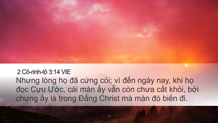 2 Cô-rinh-tô 3:14 VIE Bible Verse Image