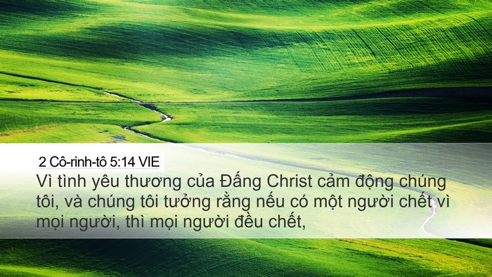 2 Cô-rinh-tô 5:14 VIE Bible Verse Image