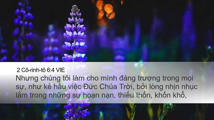 2 Cô-rinh-tô 6:4 VIE Bible Verse Image