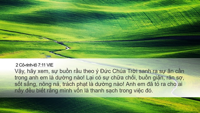 2 Cô-rinh-tô 7:11 VIE Bible Verse Image