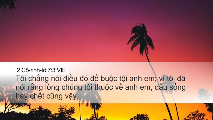 2 Cô-rinh-tô 7:3 VIE Desktop Wallpaper - Tôi chẳng nói điều đó để buộc tội - Desktop Bible Verse Wallpaper