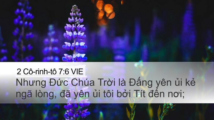 2 Cô-rinh-tô 7:6 VIE Bible Verse Image