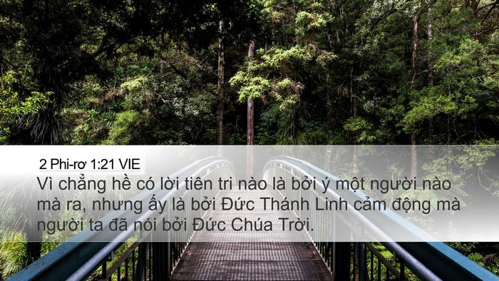 2 Phi-rơ 1:21 VIE Bible Verse Image