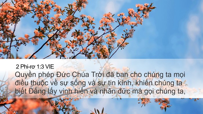 2 Phi-rơ 1:3 VIE Bible Verse Image