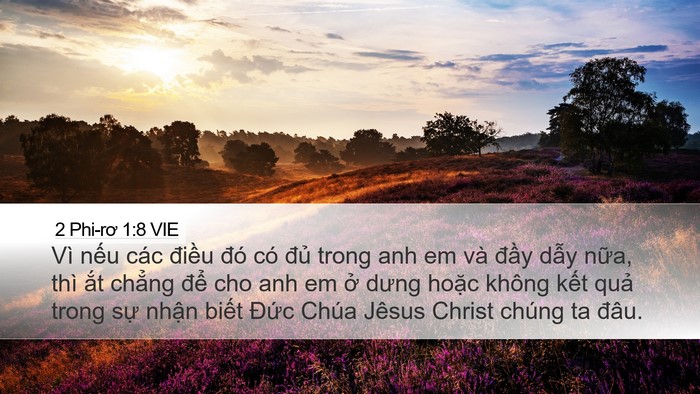 2 Phi-rơ 1:8 VIE Bible Verse Image