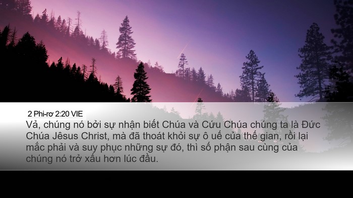 2 Phi-rơ 2:20 VIE Bible Verse Image
