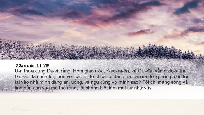 2 Sa-mu-ên 11:11 VIE Bible Verse Image