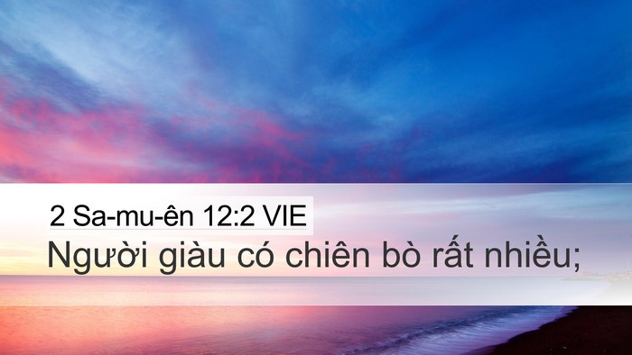 2 Sa-mu-ên 12:2 VIE Desktop Wallpaper - Người giàu có chiên bò rất - Desktop Bible Verse Wallpaper