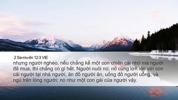 2 Sa-mu-ên 12:3 VIE Bible Verse Image