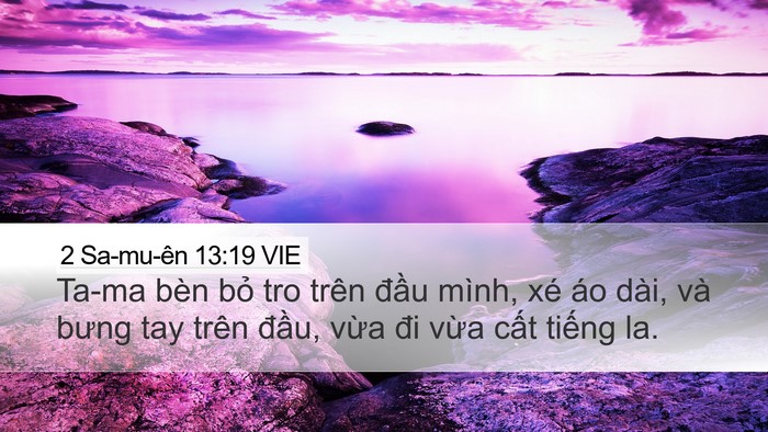2 Sa-mu-ên 13:19 VIE Desktop Wallpaper - Ta-ma bèn bỏ tro trên đầu mình, xé áo - Desktop Bible Verse Wallpaper