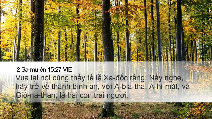 2 Sa-mu-ên 15:27 VIE Bible Verse Image