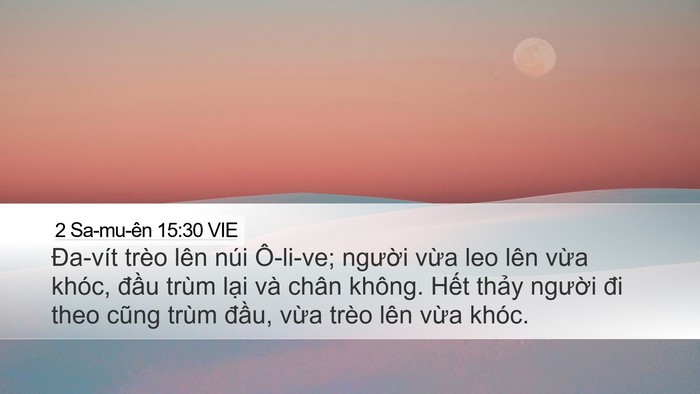 2 Sa-mu-ên 15:30 VIE Bible Verse Image