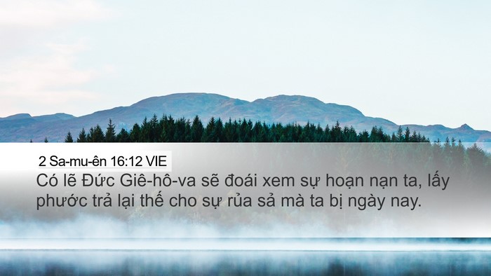 2 Sa-mu-ên 16:12 VIE Bible Verse Image