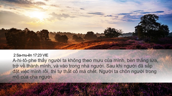 2 Sa-mu-ên 17:23 VIE Bible Verse Image