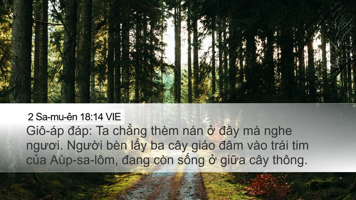 2 Sa-mu-ên 18:14 VIE Bible Verse Image