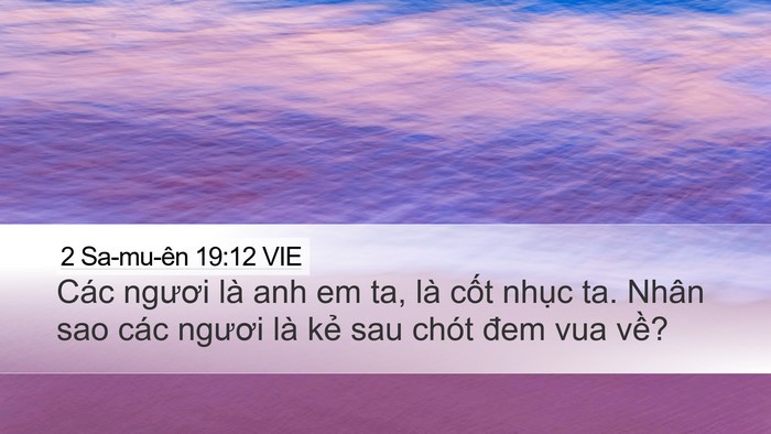 2 Sa-mu-ên 19:12 VIE Bible Verse Image