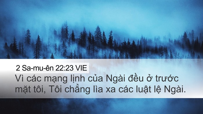 2 Sa-mu-ên 22:23 VIE Desktop Wallpaper - Vì các mạng lịnh của Ngài đều ở - Desktop Bible Verse Wallpaper