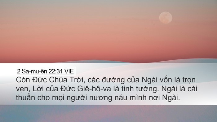 2 Sa-mu-ên 22:31 VIE Bible Verse Image