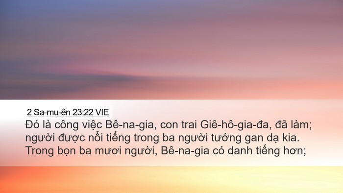 2 Sa-mu-ên 23:22 VIE Bible Verse Image