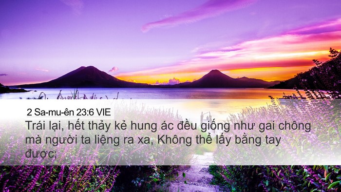 2 Sa-mu-ên 23:6 VIE Bible Verse Image