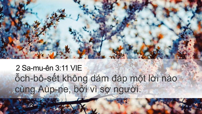 2 Sa-mu-ên 3:11 VIE Desktop Wallpaper - ỗch-bô-sết không dám đáp một lời - Desktop Bible Verse Wallpaper