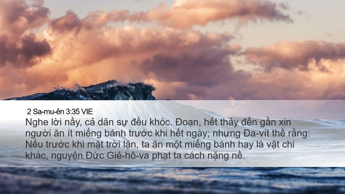 2 Sa-mu-ên 3:35 VIE Bible Verse Image
