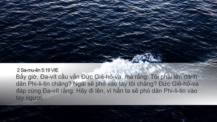 2 Sa-mu-ên 5:19 VIE Bible Verse Image