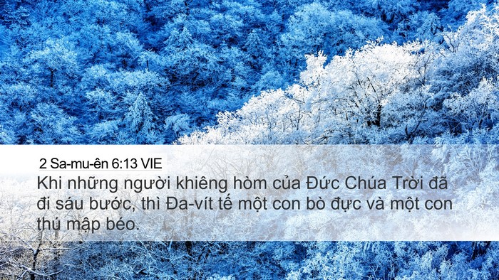 2 Sa-mu-ên 6:13 VIE Bible Verse Image