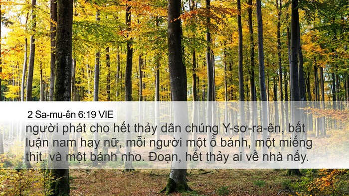 2 Sa-mu-ên 6:19 VIE Desktop Wallpaper - người phát cho hết thảy dân chúng - Desktop Bible Verse Wallpaper
