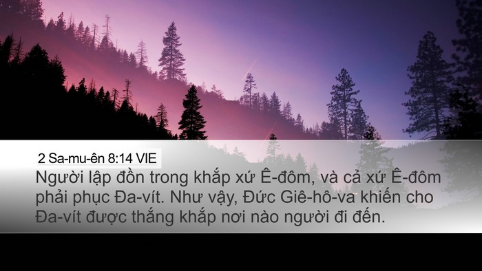 2 Sa-mu-ên 8:14 VIE Bible Verse Image
